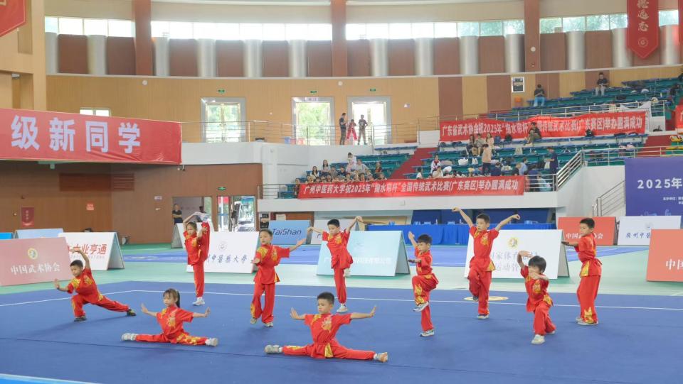 区粤武体育, 爱好者搭建, DZpdu 区粤武体育, 爱好者搭建, DZpdu