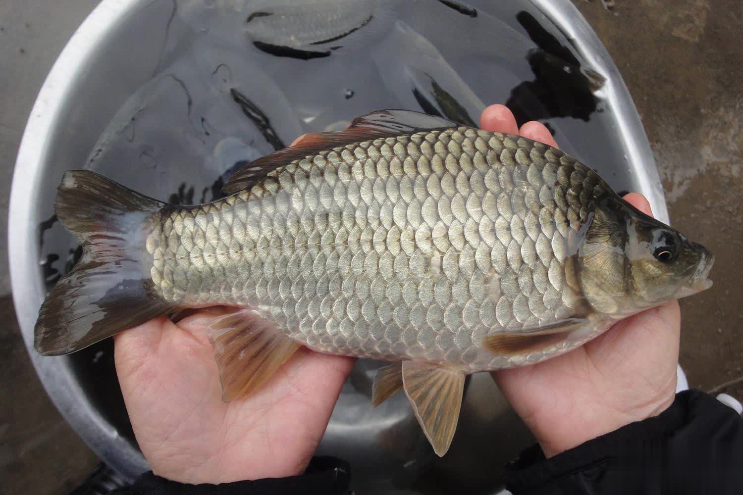 span, 气温也较低 span, 气温也较低